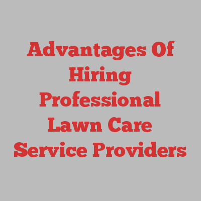 Advantages Of Hiring Professional Lawn Care Service Providers